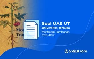 Soal UT PEBI4107 Morfologi Tumbuhan