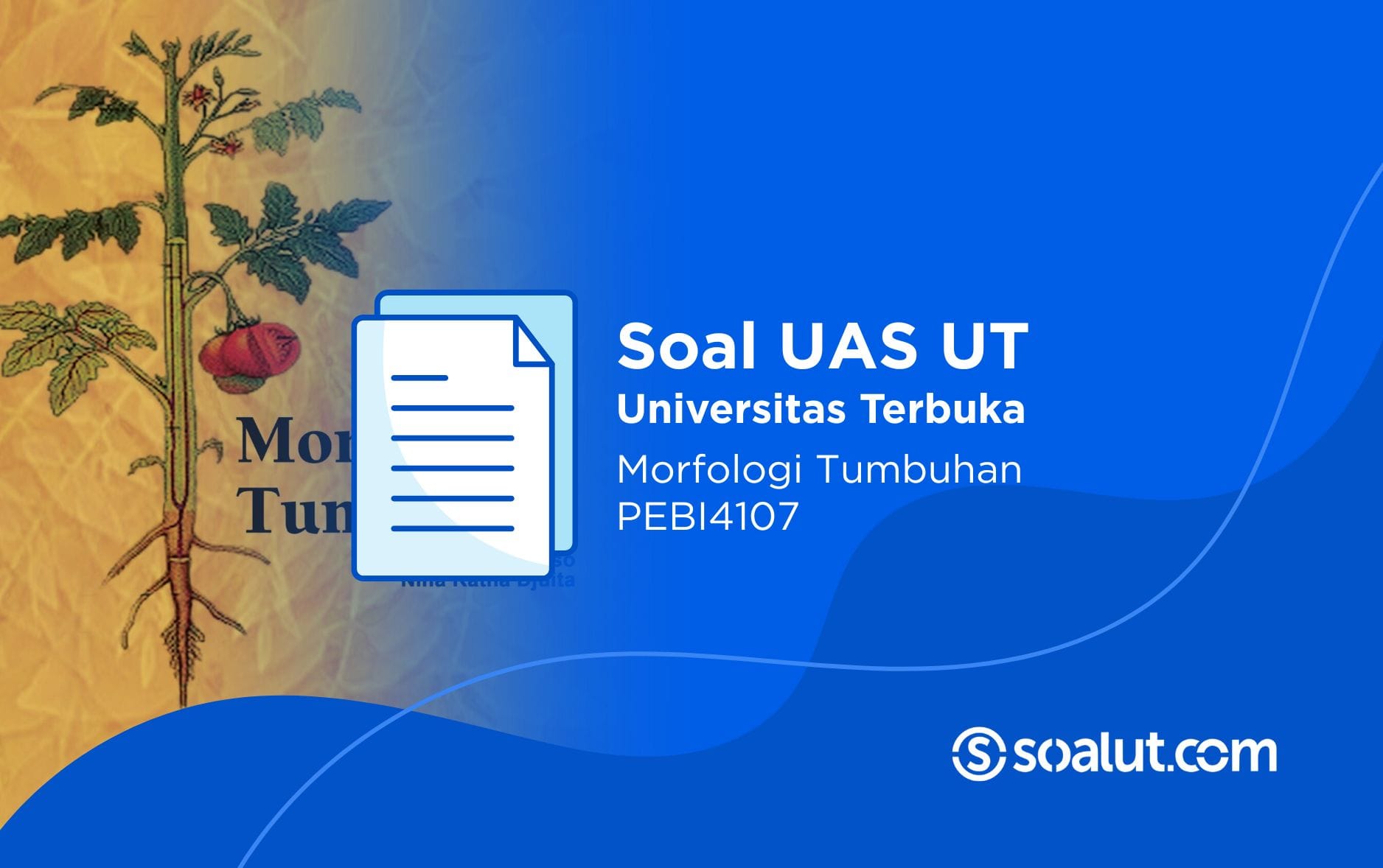 Soal UT PEBI4107 Morfologi Tumbuhan