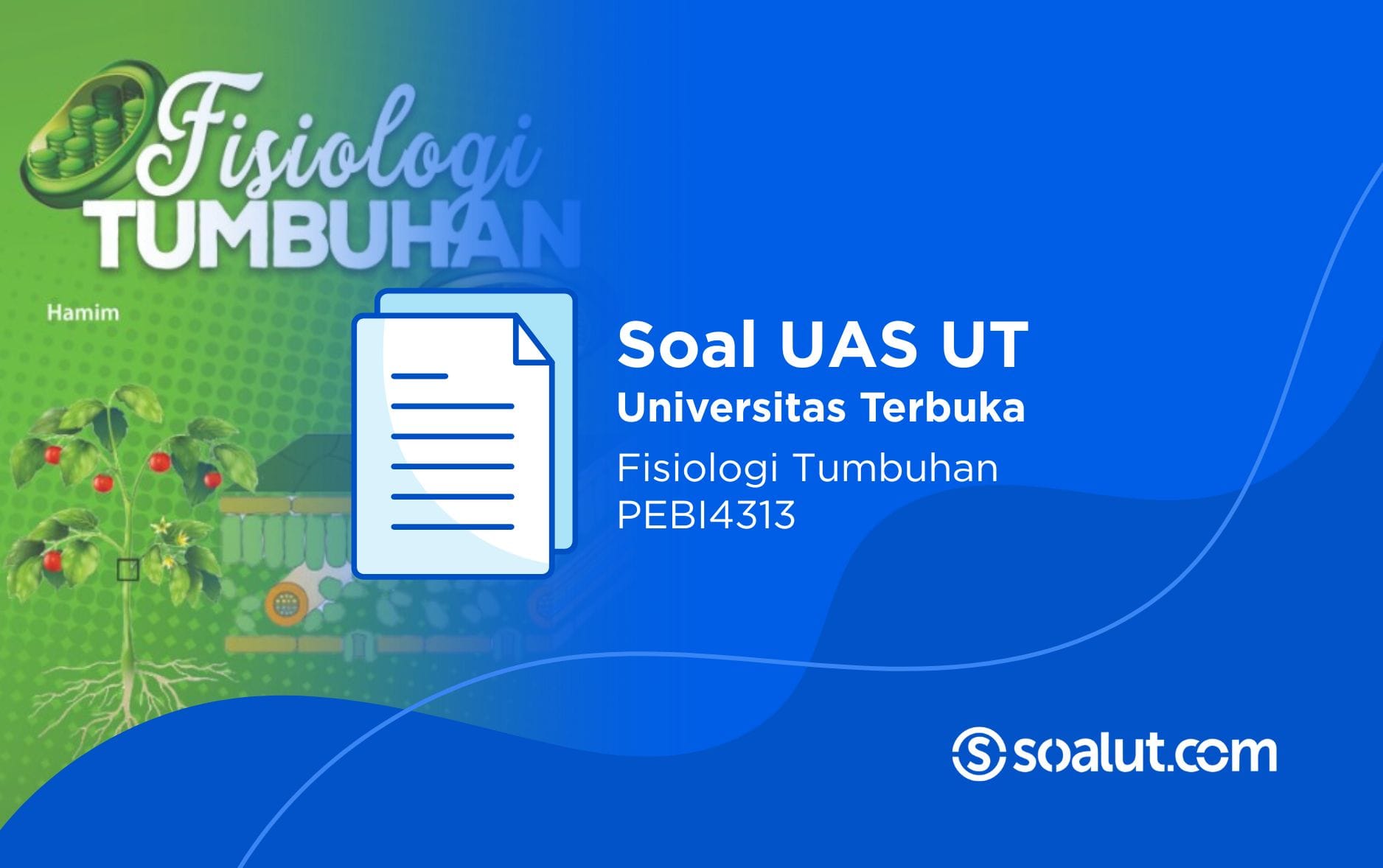 Soal UT PEBI4313 Fisiologi Tumbuhan