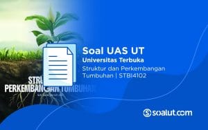 Soal UT STBI4102 Struktur dan Perkembangan Tumbuhan
