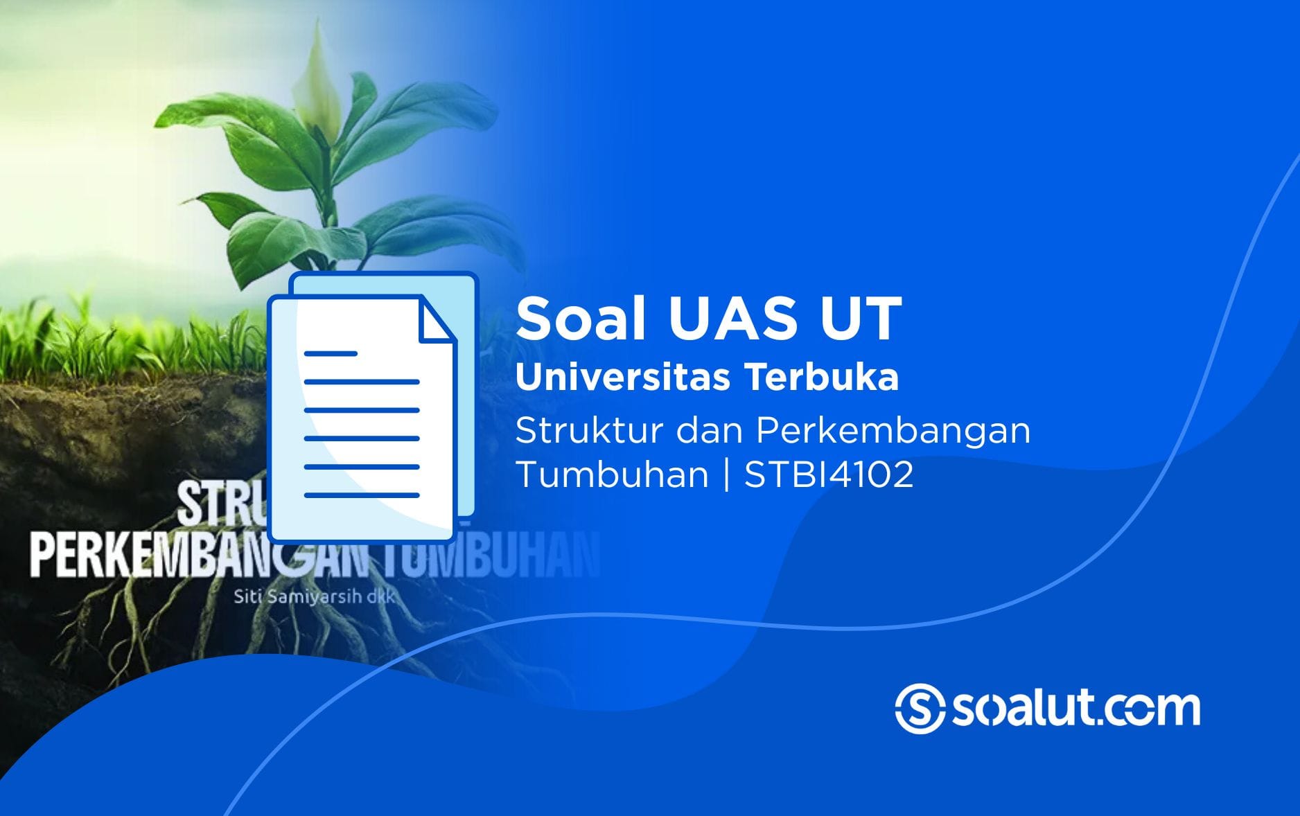 Soal UT STBI4102 Struktur dan Perkembangan Tumbuhan