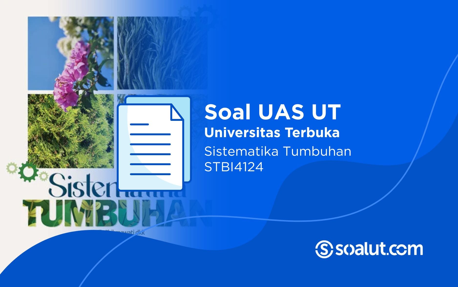Soal UT STBI4124 Sistematika Tumbuhan