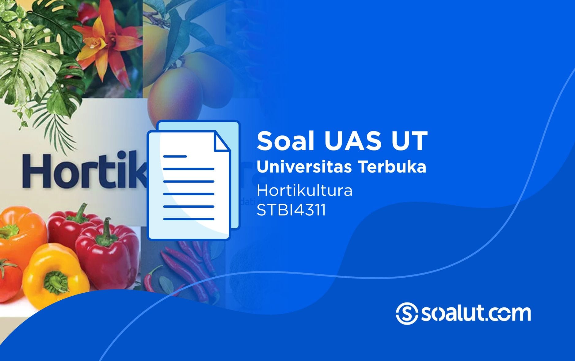 Soal UT STBI4311 Hortikultura